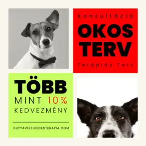 Kutyaviselkedés terápia konzultáció és terápiás terv arculatának termékképe.