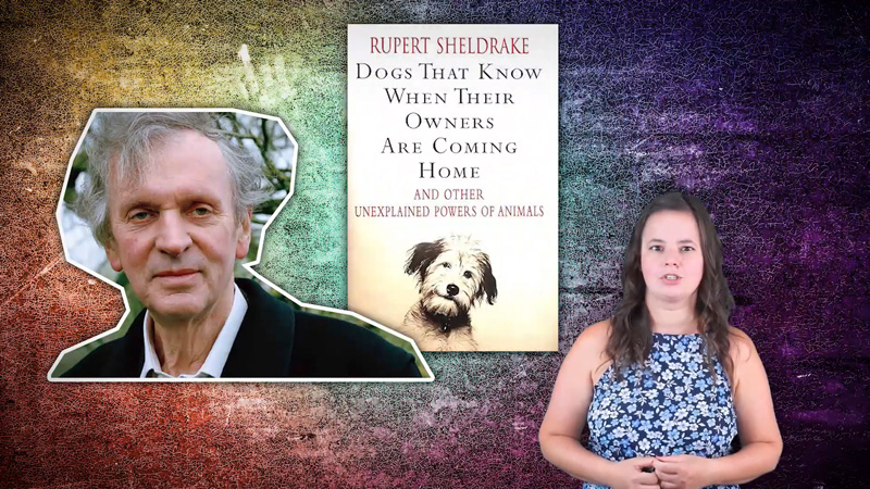 Rupert Sheldrake kutató a kutya-gazda telepátiát vizsgálta és a képen a kutyák telepatikus képességével kapcsolatban készült elhíresült könyve látható Lányfalusi Krisztina kutyaviselkedés szakértő előadásában a kép jobb oldalán.