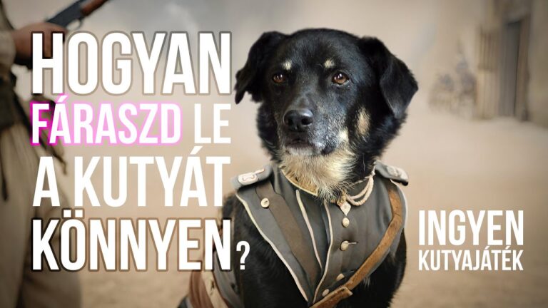 Sötét színű kutya emberi egyenruhában ül a sivatagban, két oldalán szöveges leírás egy videóhoz.
