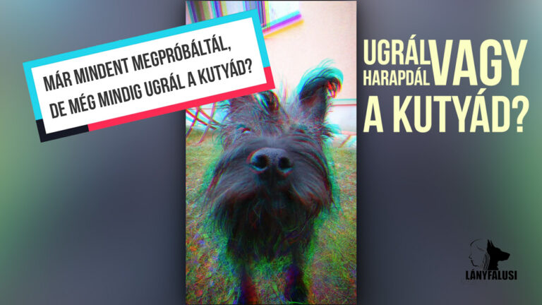 Kutyaugrálás megszüntetése