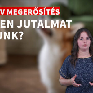 Szobatisztaság tanítása kutyáknak egyszerűen oktatóvideó pozitív megerősítés rovata.