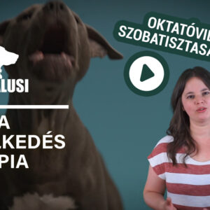 Lányfalusi Krisztina kutyaviselkedes-terápia tréning videó. Szobatisztaság tanítása kutyáknak szobatisztaság naplóval.