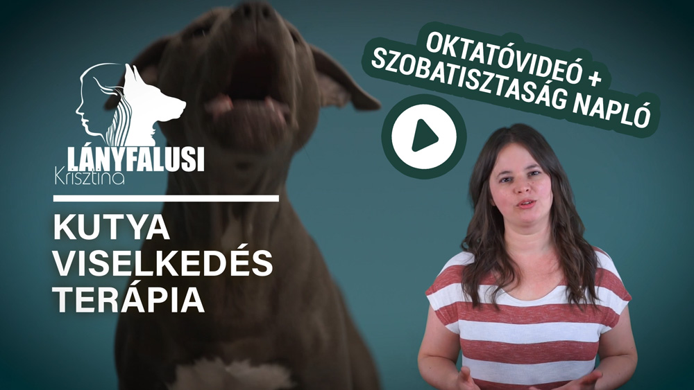 Így szoktasd a kutyát szobatisztaságra egyszerűen Oktatóvideó + Szobatisztaság Napló csomag