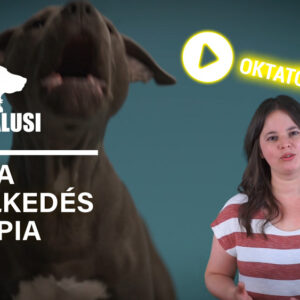 Lányfalusi Krisztina kutyaviselkedes terápia tréning videó. Kutyát szobatisztaságra tanítása oktatóvideó nyitóképe.