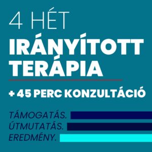 iranyitott-terapia-termekkep