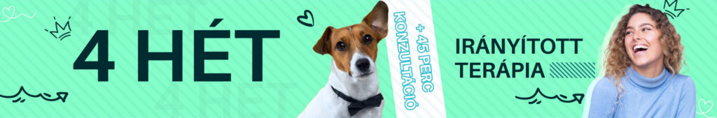 Irányított terápia szolgáltatás banner