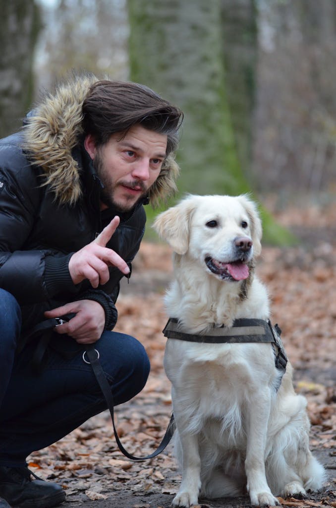 Egy férfi egy retriever kutyával játszik egy élénk őszi erdőben kutyaviselkedés-terápia foglalkozáson.
