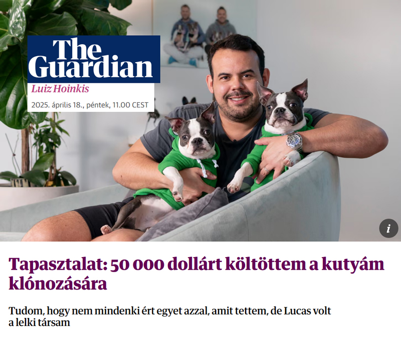 Egy férfi ül a fotelben két klónozott kutyájával egy Guardianban megjelent cikk fotóján.