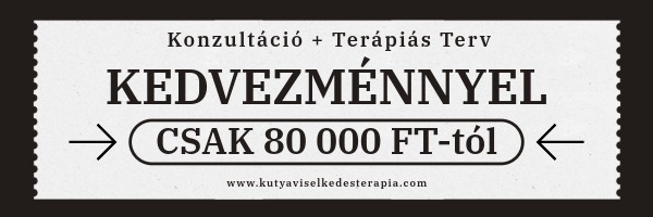 Konzultációs csomag kedvezmény banner