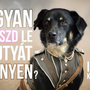 Sötét színű kutya emberi egyenruhában ül a sivatagban, két oldalán szöveges leírás egy videóhoz.